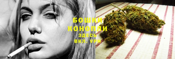 МДПВ Осташков