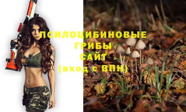 экстази Баксан